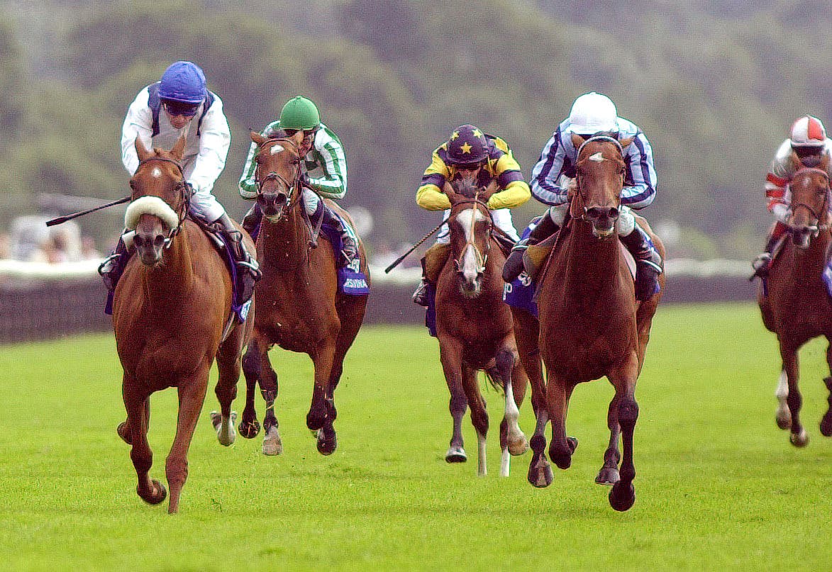 Super Tassa (left) winning at York
